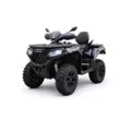 Квадроцикл Loncin Xwolf 1000 LAND TREKKER (Серый,  )