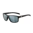 Очки солнцезащитные ALPINA Nacan I Black Matt/Black Mirror Cat.3