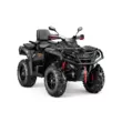Квадроцикл AODES Pathcross ATV 650 L PRO EPS двухместный 2026 (Черный,  )