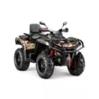 Квадроцикл AODES Pathcross ATV 1000 L PRO EPS двухместный 2026 (Золотой,  )
