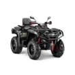 Квадроцикл AODES Pathcross ATV 650 L PRO EPS двухместный 2026 (Серый,  )