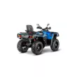 Квадроцикл AODES Pathcross ATV 1000 L PRO EPS двухместный 2025 (Голубой,  )