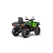 Квадроцикл AODES Pathcross ATV 1000 L PRO EPS двухместный 2025 (Зеленый,  )