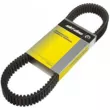 Ремень приводной BRP Ski-Doo Belt Drive 417300551 417300166, 417300383