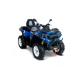 Квадроцикл РМ 800 T (Черный/Синий, , , )