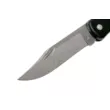 Нож складной Buck B0110BKSLT Folding Hunter LT