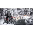 Снегоход Expedition SWT 900 ACE  2020