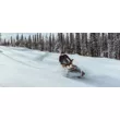 Снегоход SKI DOO Skandic Sport 600 EFI ES 2021