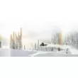Снегоход Ski-Doo Freeride 850 165