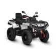 Квадроцикл AODES Pathcross ATV 650 L EPS двухместный 2025 (Белый,  )