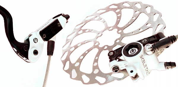 skeletal bike brakes